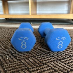 Moving Sale! Hand Weights 