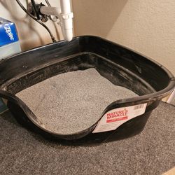Cat Litter Boxes and Litter