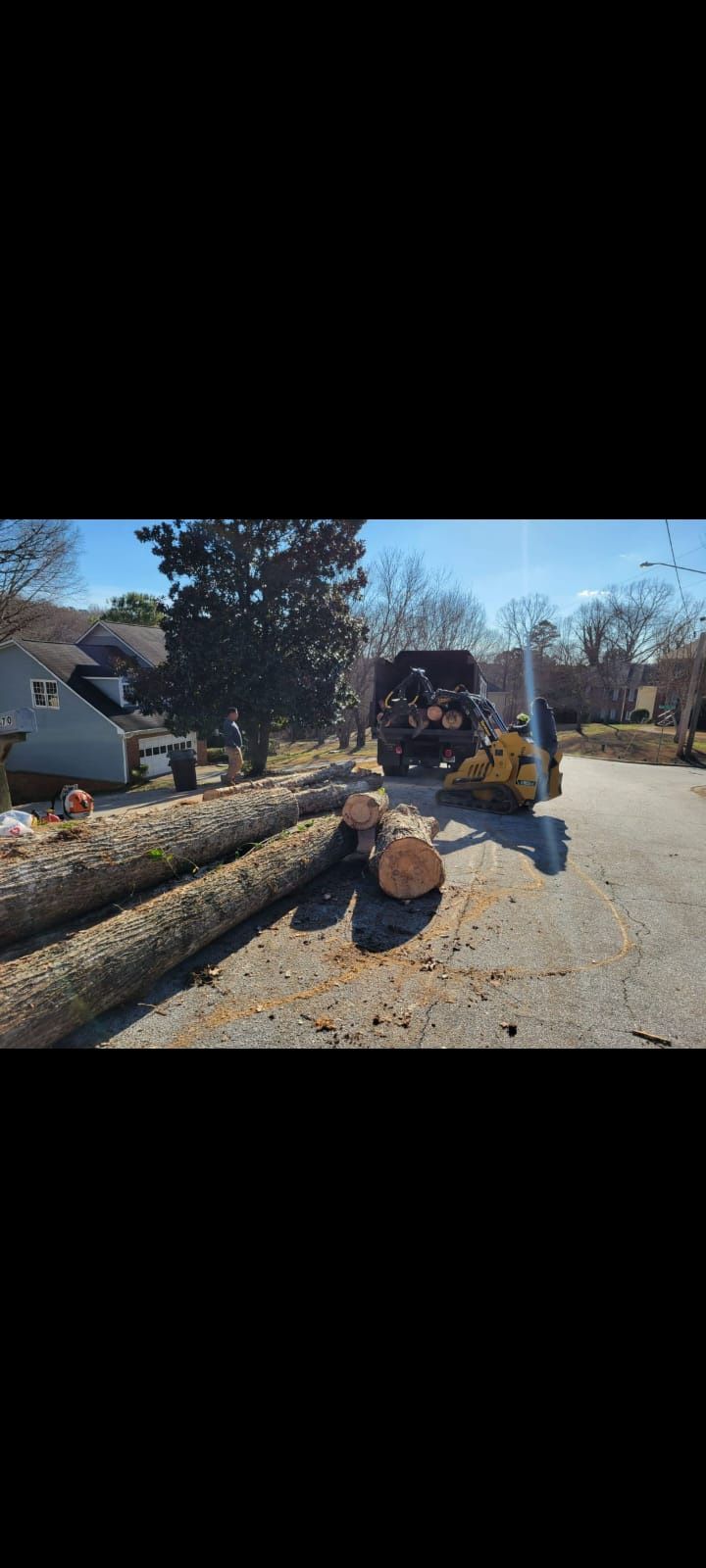 Tree Work 