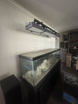 125 Gallon Aquarium