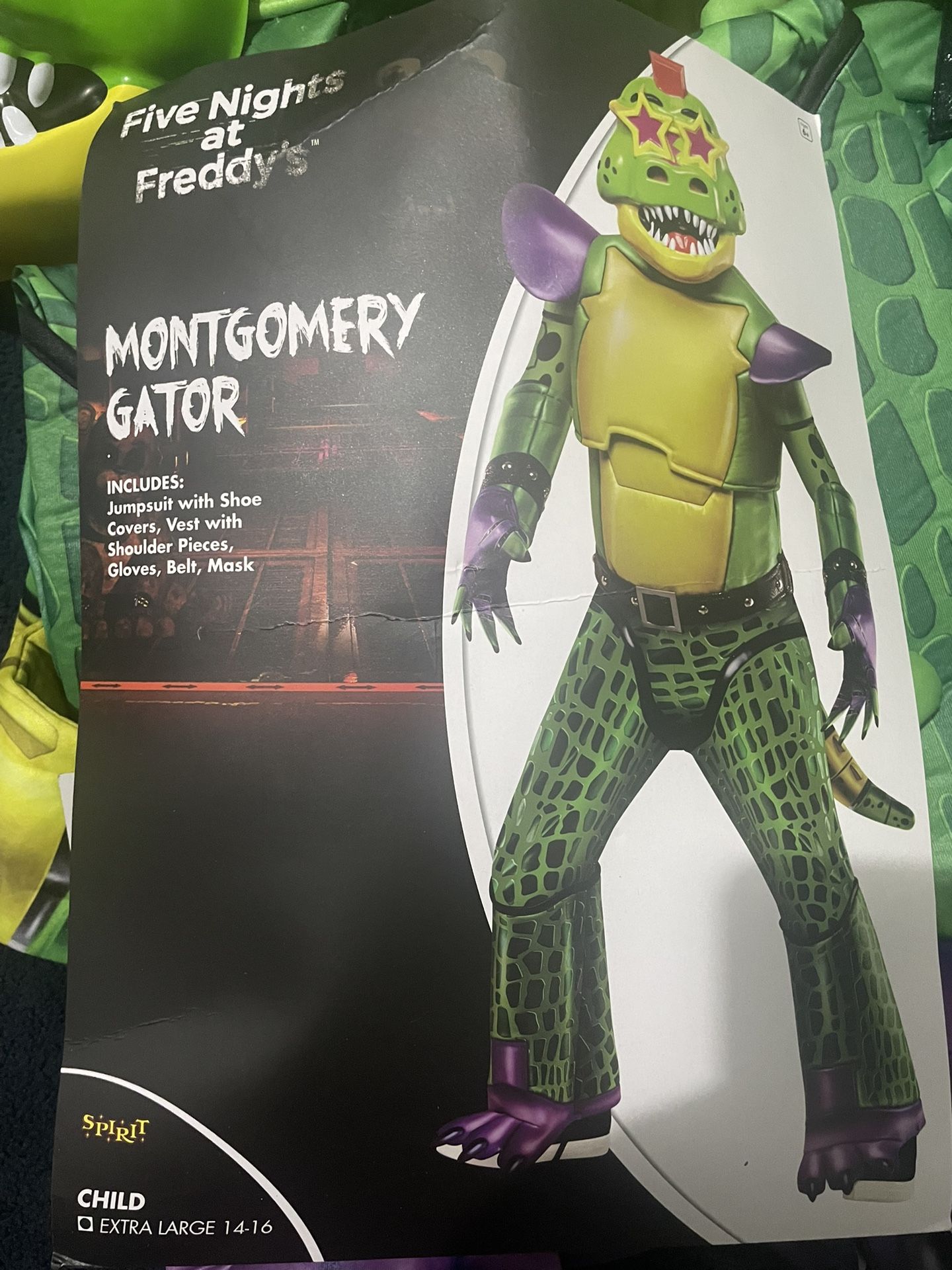 Montgomery Gator