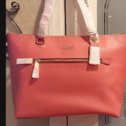 NEW COACH PURSE VERY NICE GREAT VALENTINE GIFT FOR YOU LOVED ONE