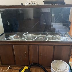 Aquarium Full Service 