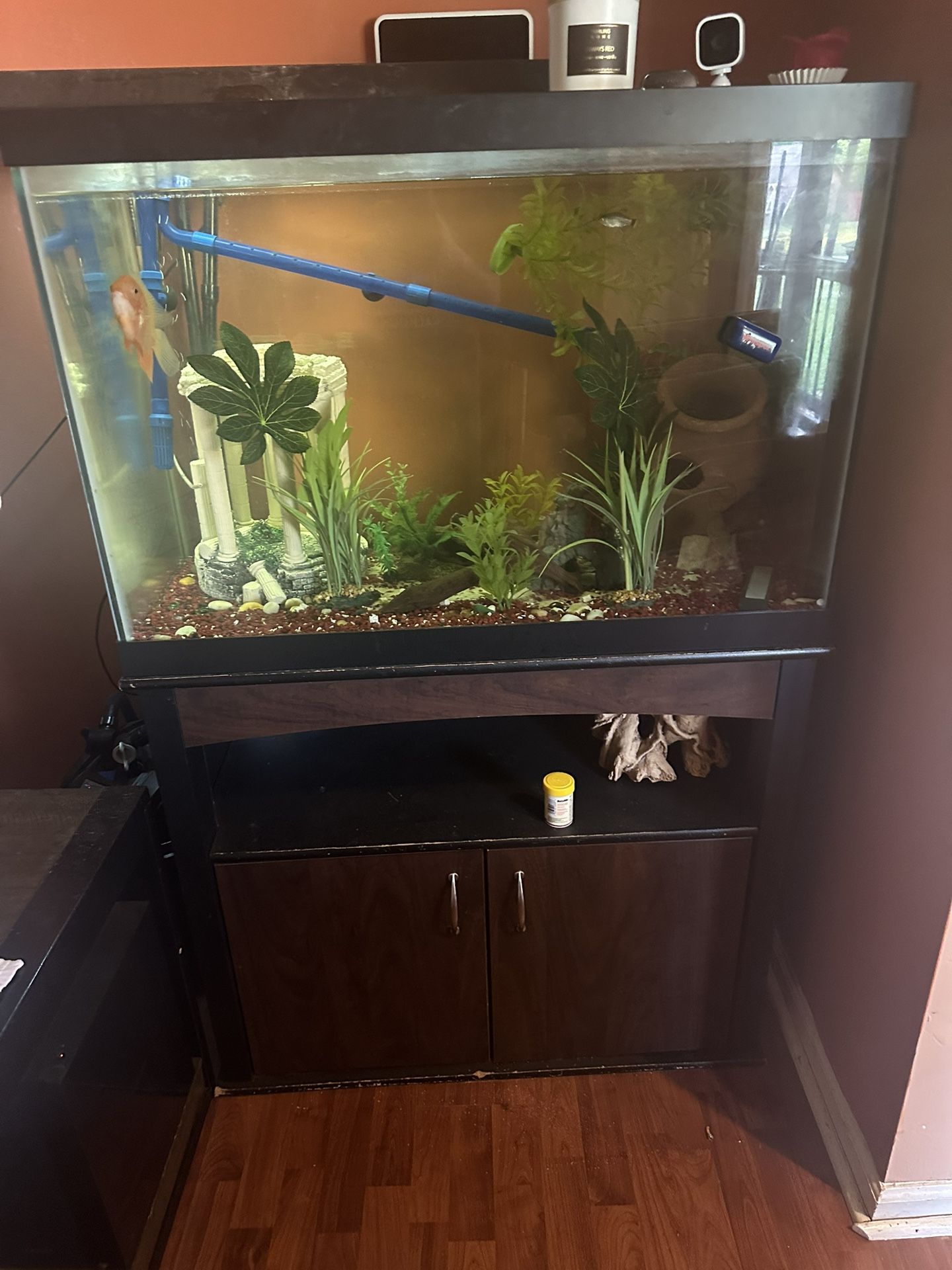 65 Gallon Fish Tank And Stand