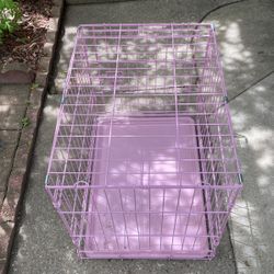 Cagge For Medium Dog 