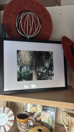 Framed Palm Tree Photo Print