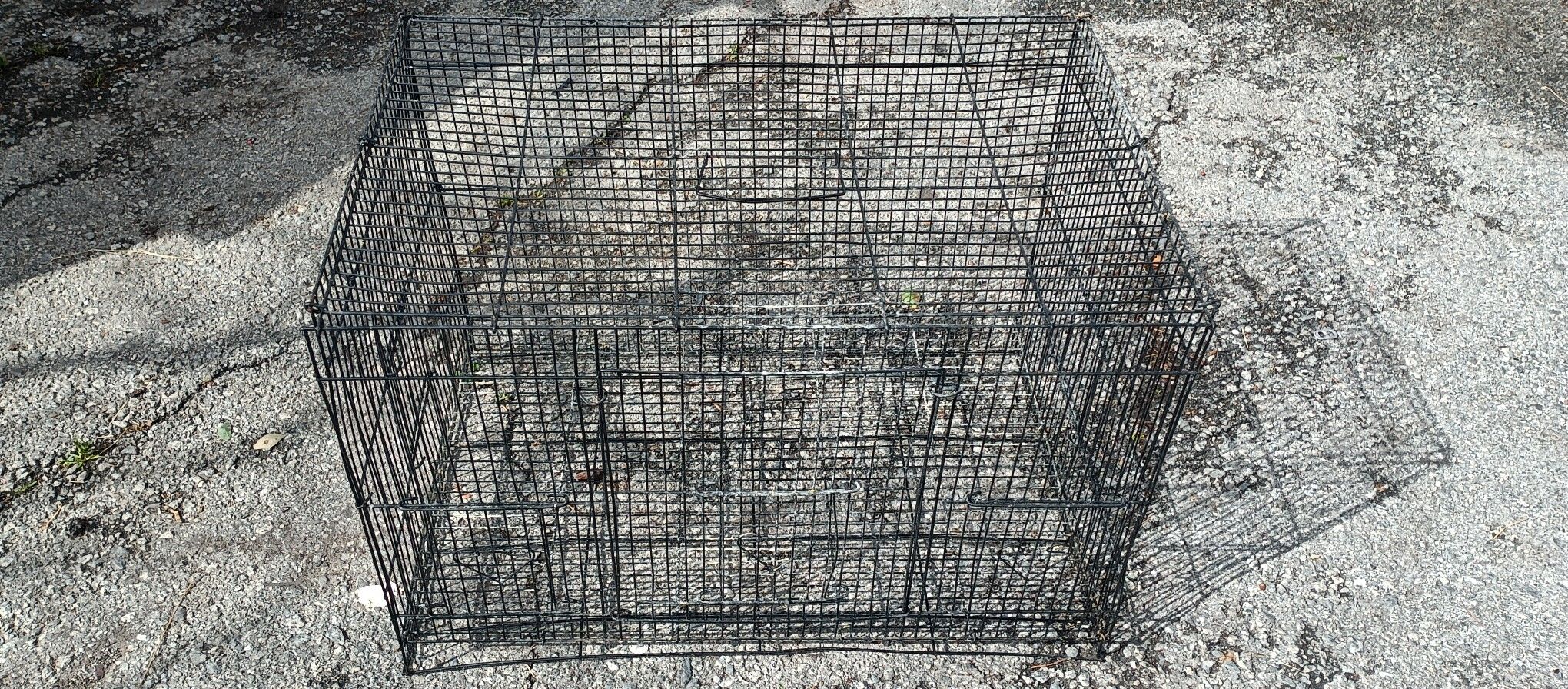 Bird Cage