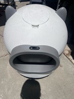 Cat litter