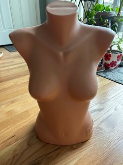 Female Torso Mannequin