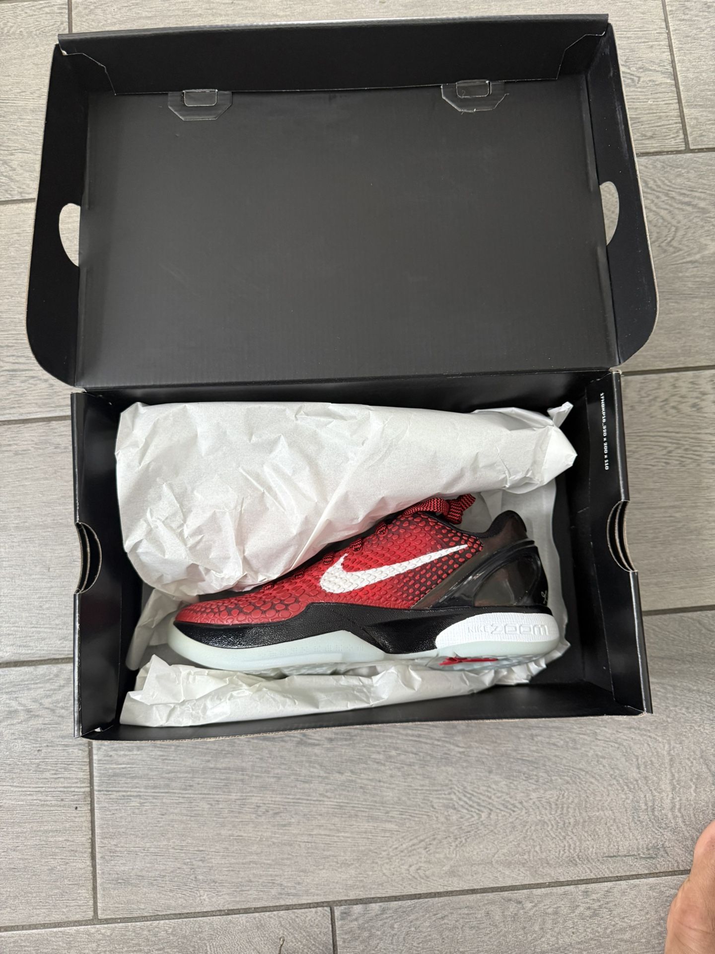 Nike kobe 6 All-Star (2021)