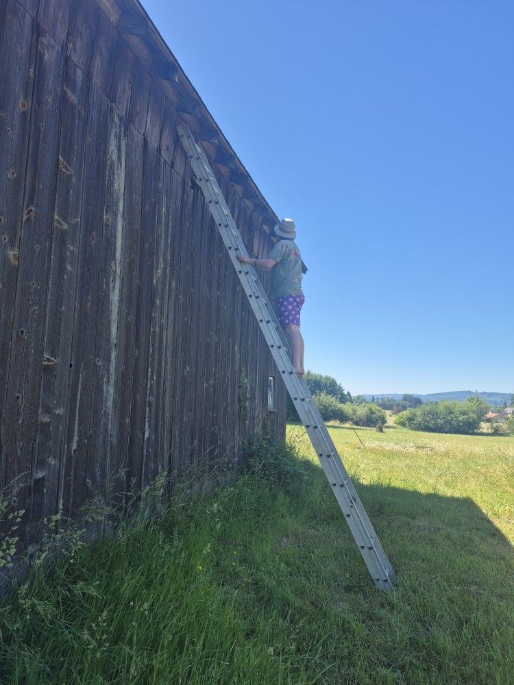 36 Ft. Extension Ladder Aluminum