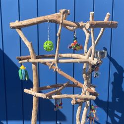 Thick n Durable MACAW PERCH Tree - Lots Of Gnarly Wing Flapping !! ❤️