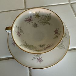 Edelstein (Bavaria, Germany, 1927) Fine Porcelain China Cup & Saucer