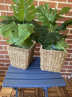 Artificial Floor or Table plants