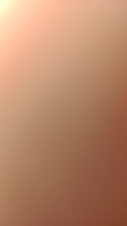 Lost Men's Guess Wallet