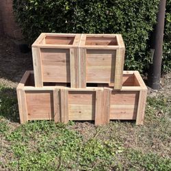 Flower Planters 