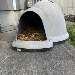 Dog House 