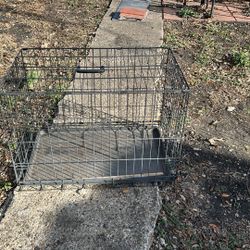 Bird Cage Or Dog Cage