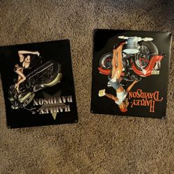 Harley Davidson Posters  