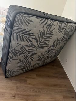 free queen size mattress