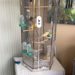 Bird Cage