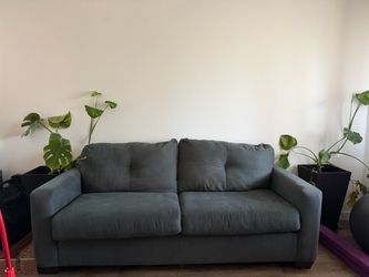 Gray Couch