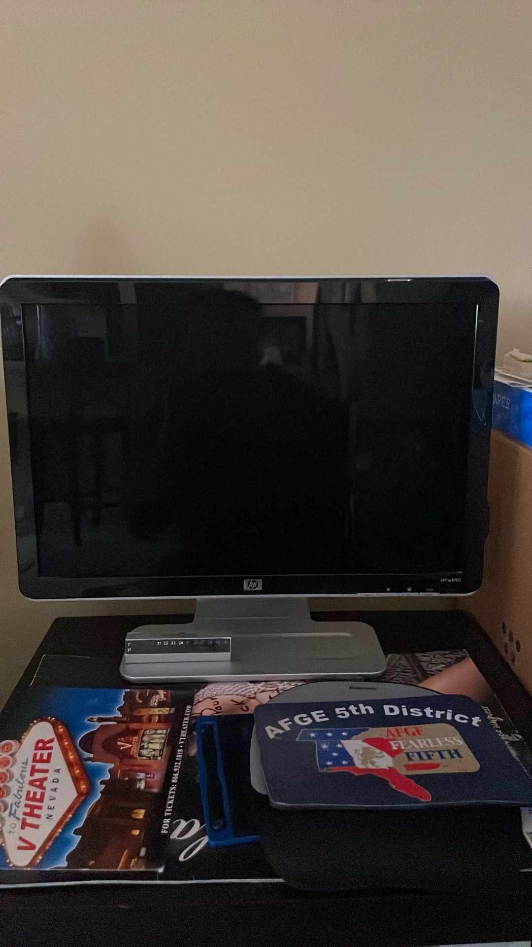 HP Monitor 