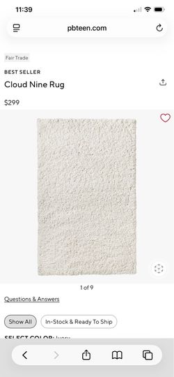 PB Teen Shag Rug