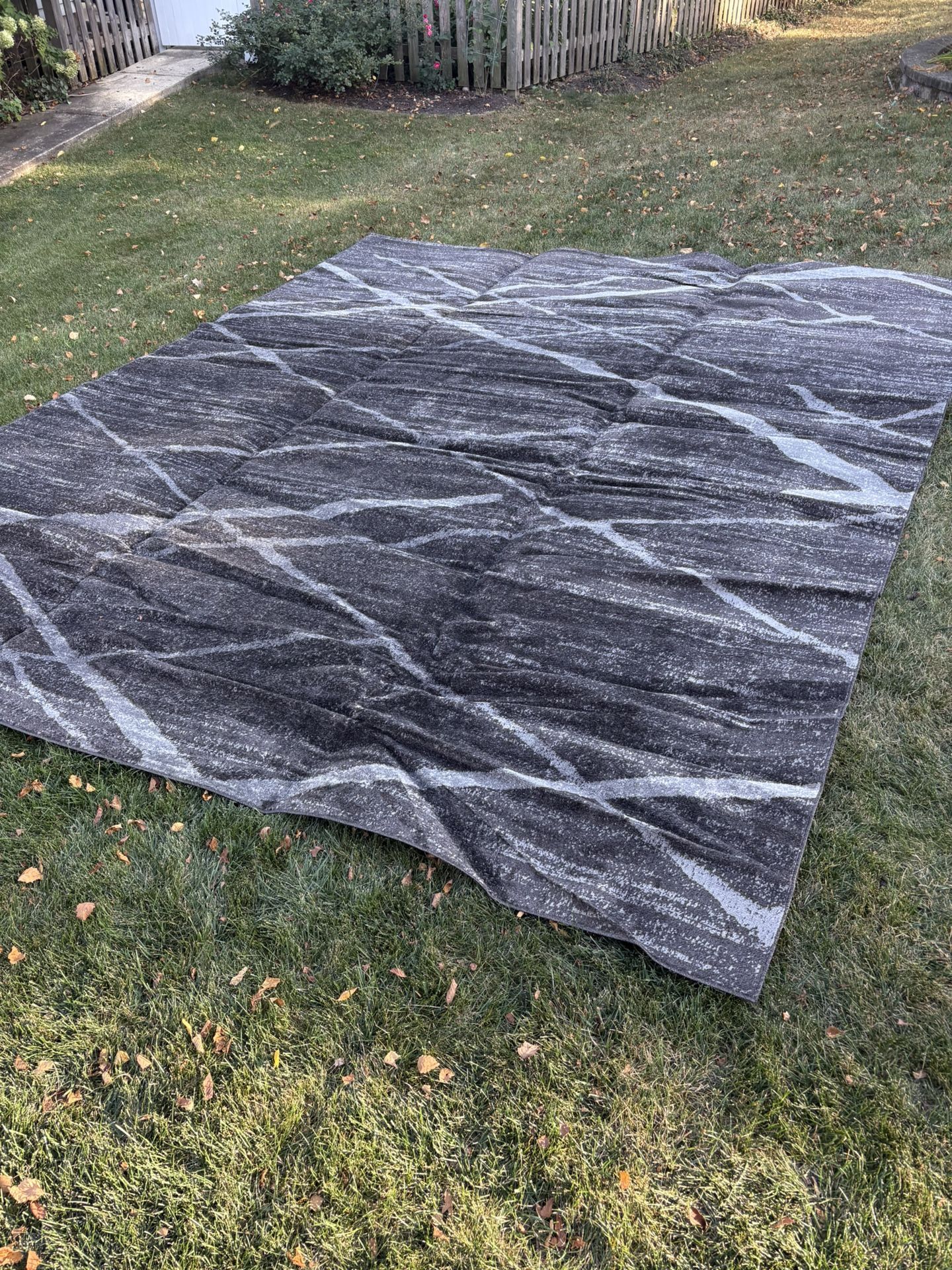 Large Area Rug
