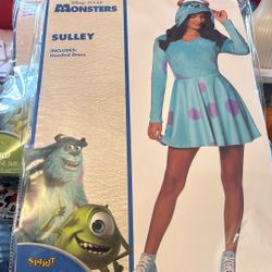 Sulley Costume