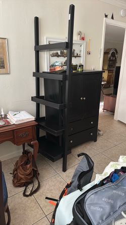Shelf ladder