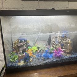 Fresh Water Aquarium