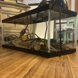 Reptile Enclosure 