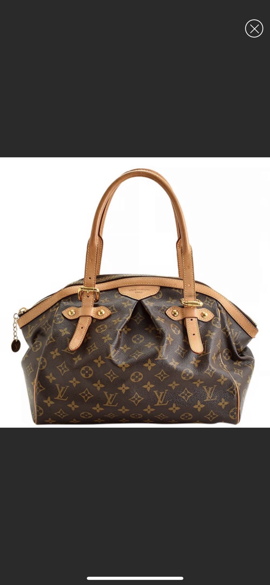 Authentic Louis Vuitton Bag Purse 