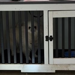 Dog Kennel Small Dogs 