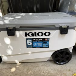 Igloo Cooler 