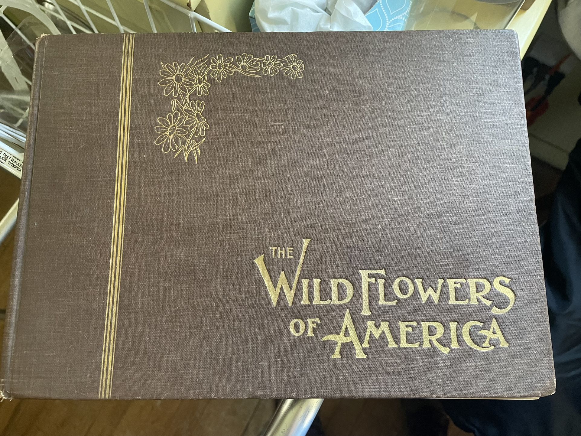 288 plates with descriptions in The Wildflowers of America 1894 Book G.H. Buek