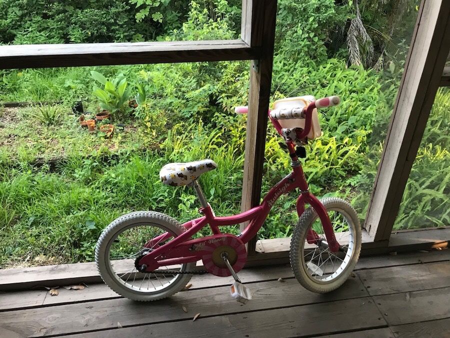 Lil Honey Raleigh kids bike