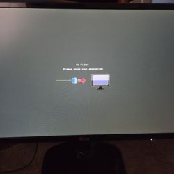 LG Monitor 
