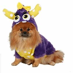Dog Costume size XL
