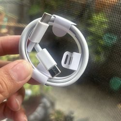 iPhone Charger 