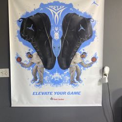 Carmelo Anthony poster