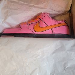 Nike Dunk Low Sb Blossom Ds Size 10