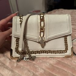 Aldo Purse