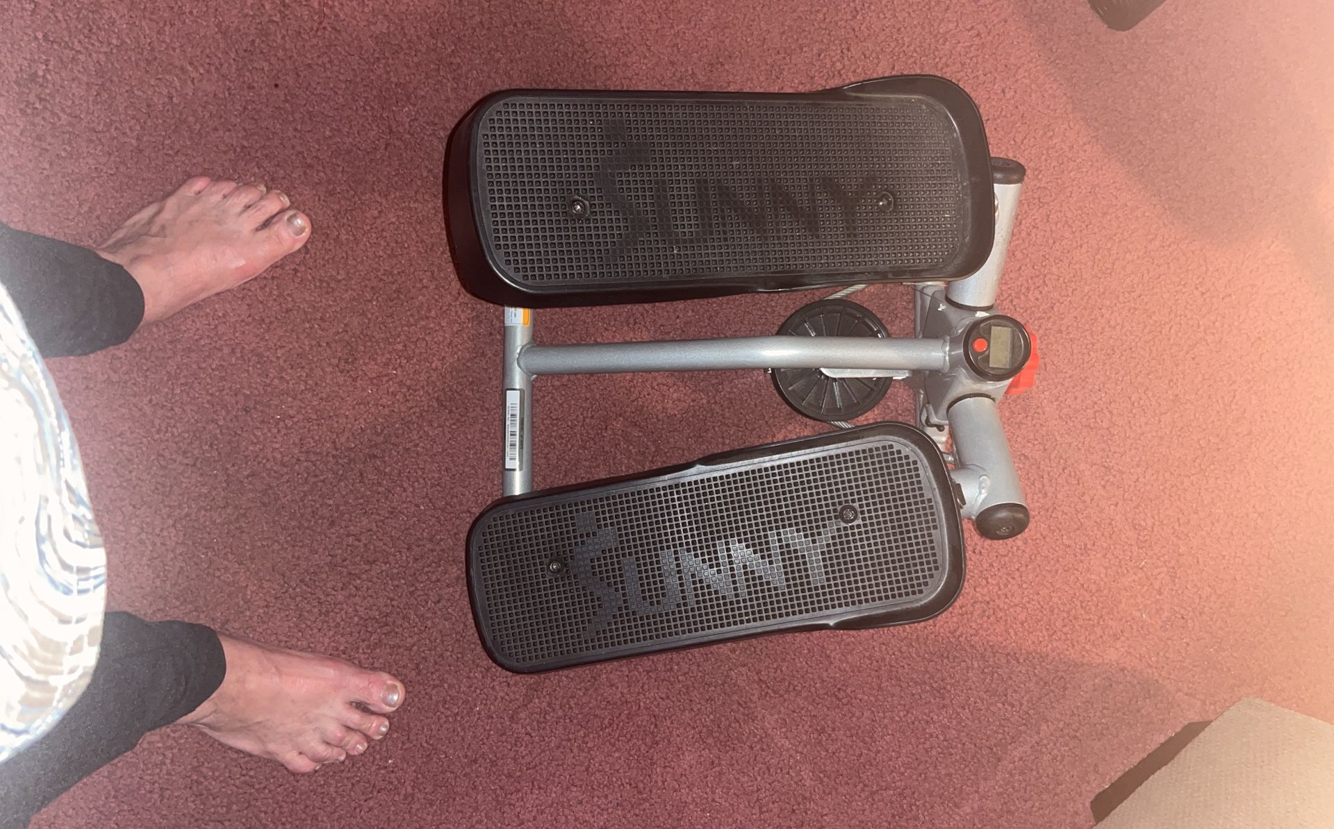 Exercise Stepper