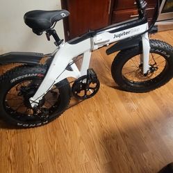 Folding Electric Bike