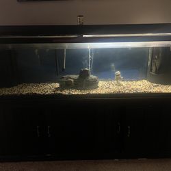 125 Gallon Fish Tank 