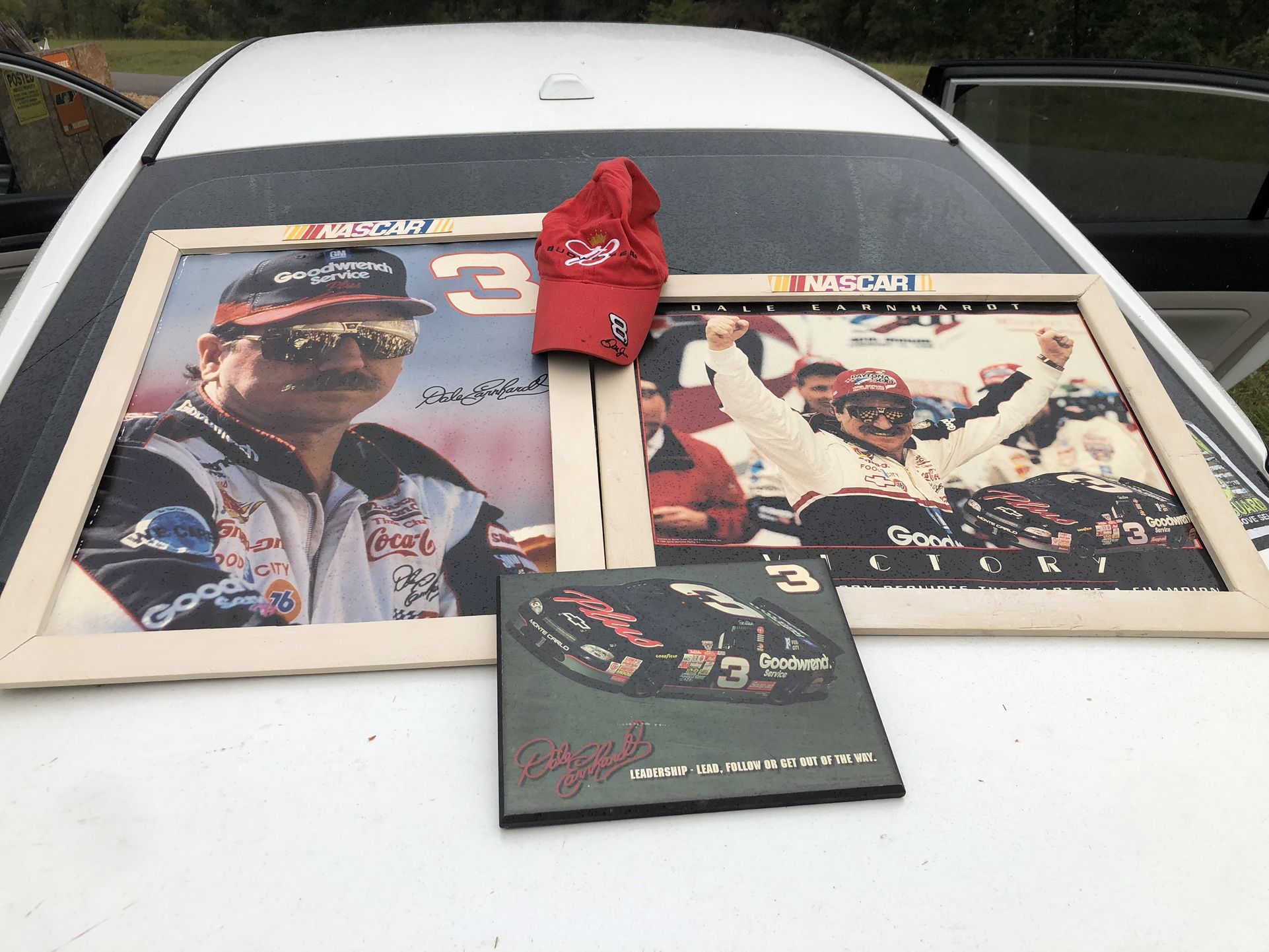 NASCAR Earnhardt Posters With Frames