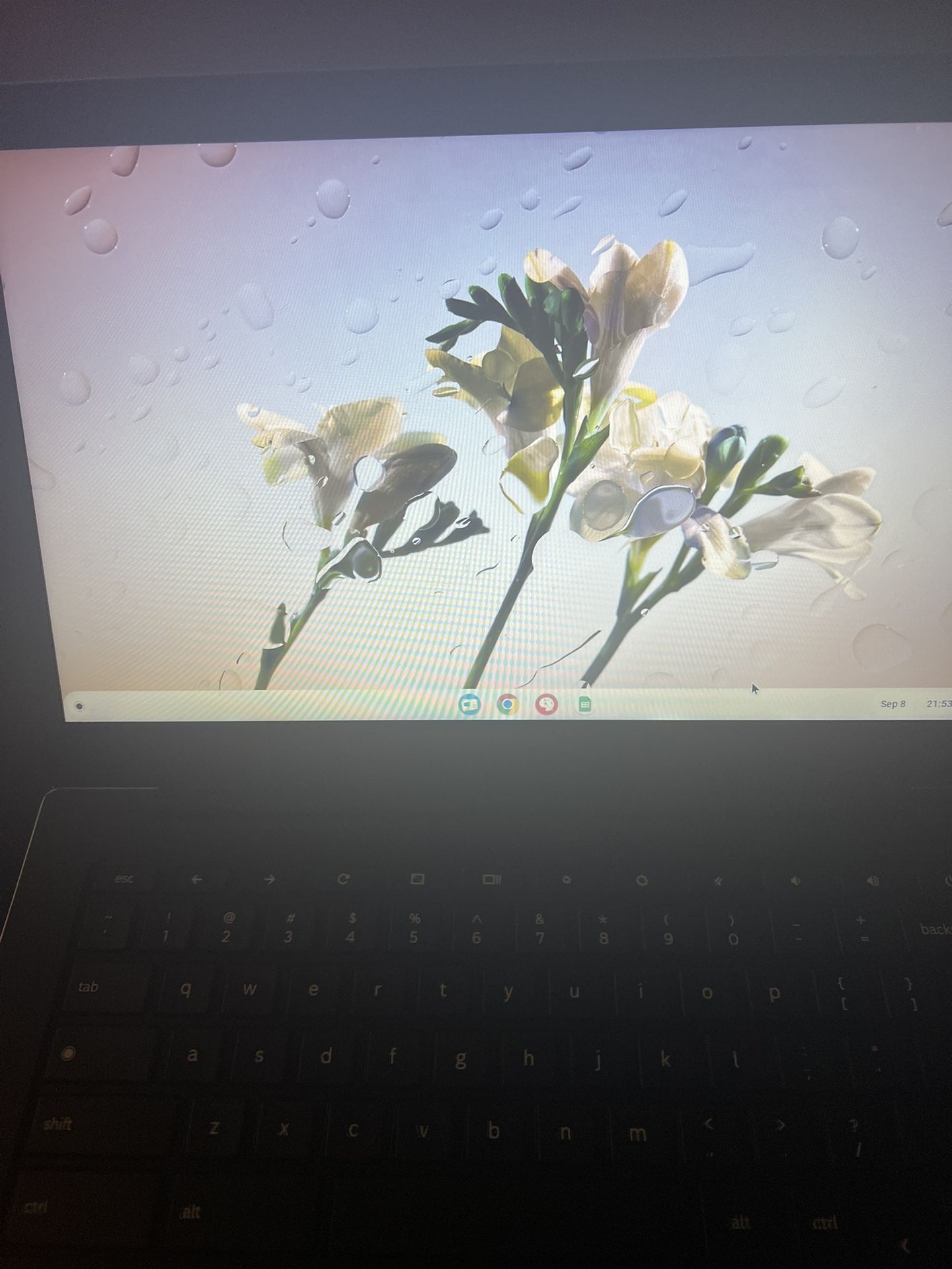 Unlocked Chrome Laptop 
