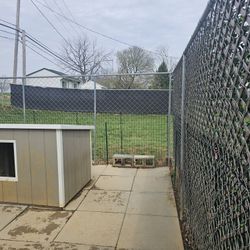 Dog House  50 Dollars